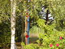 Totem2